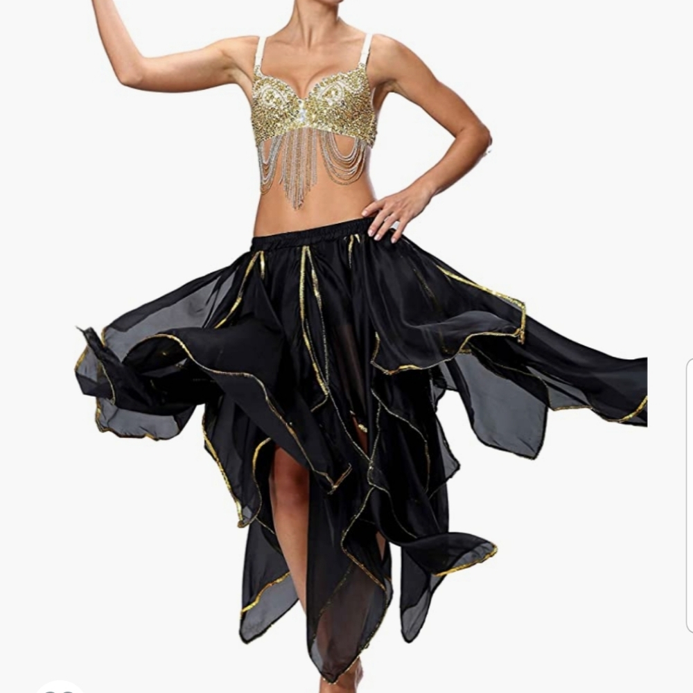 Belly Dance Skirt - image 1